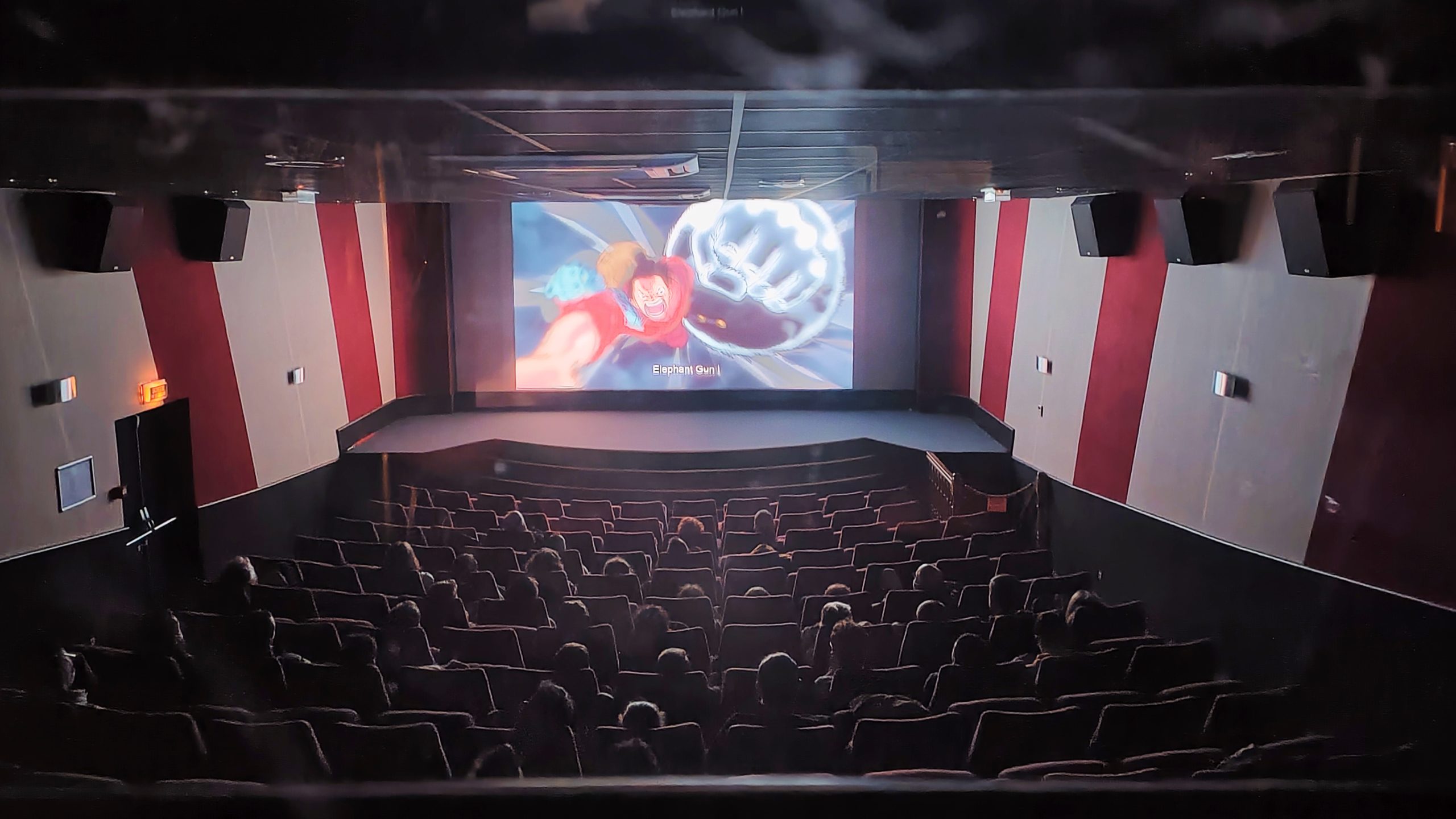 Soirée One Piece, 1000 logs au Cinéma Julien Maunoir le 21 novembre 2021
